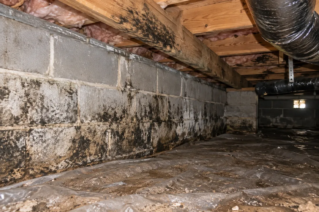 Mold and moisture staining on a CMU block foundation wall in a crawl space, with mold also visible on the wood framing above