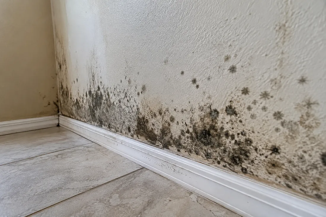 Dark spotting and discoloration along the lower part of a wall above a white baseboard, next to a tile floor